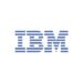 ibm-logo-300