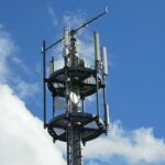 zendmast 202208