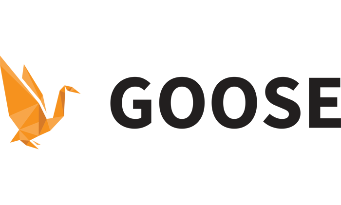 Goose VPN