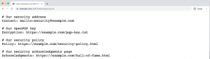 security-txt