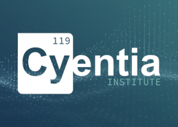 Cyentia rapport dataverlies 2021