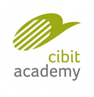 Cibit academy