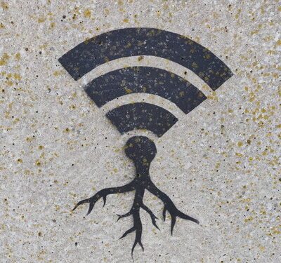 wifi 7 wortels