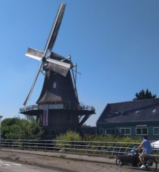 molen-nederland