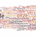 coalitieakkoord-digitale-wereld-wordle